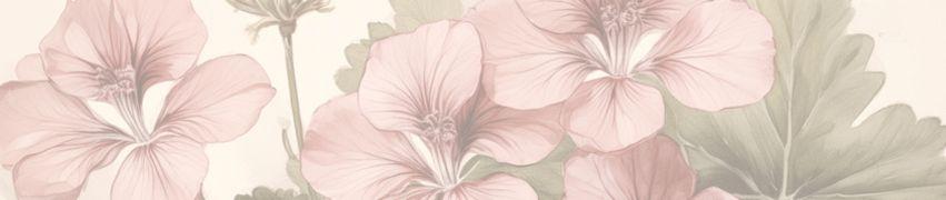 Soft pink hibiscus flowers with delicate petals and green leaves in watercolor botanical pattern