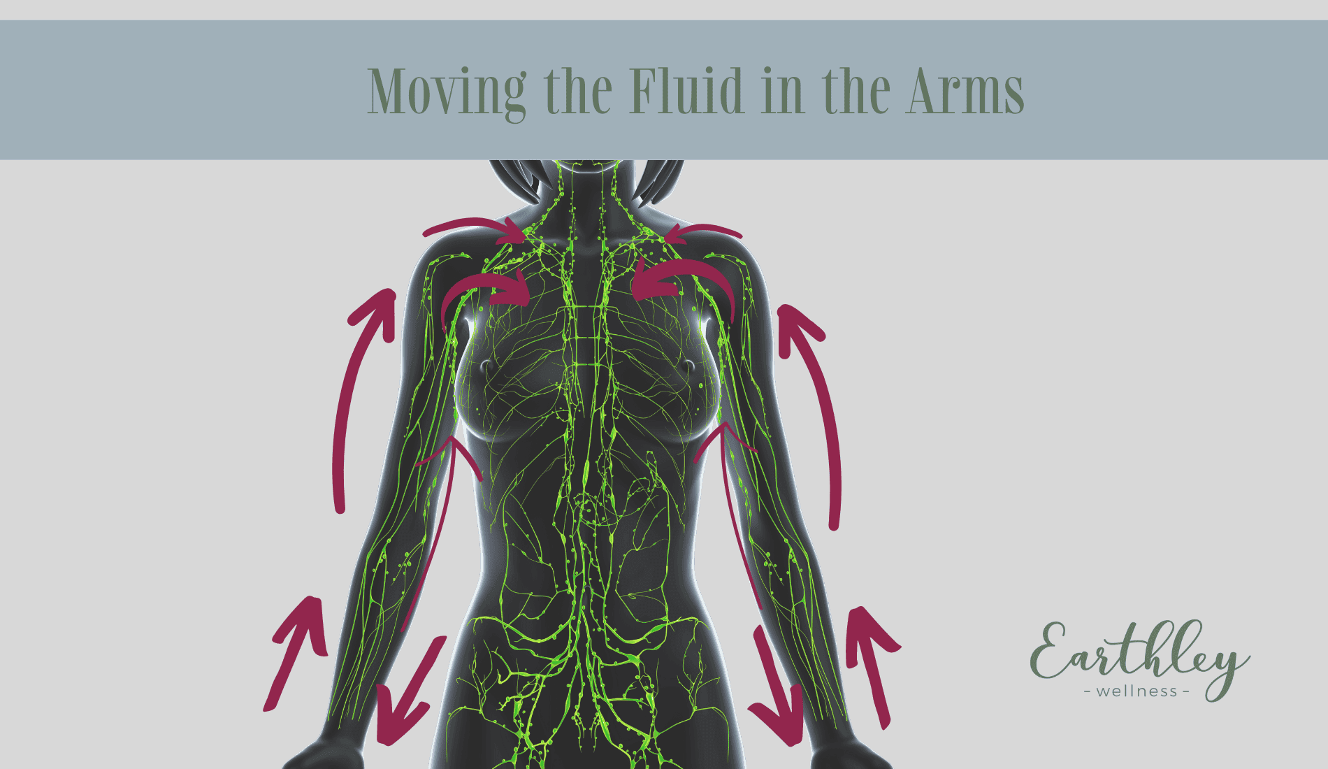Moving the Fluid in the Arms lymphatic massage instruction diagram showing arm with directional arrows indicating massage strokes toward lymph nodes