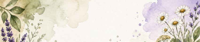 Watercolor botanical border featuring lavender sprigs, chamomile flowers, and green leaves on soft purple and cream background