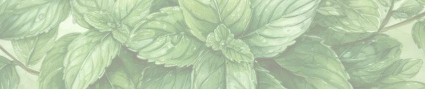 Fresh mint leaves with detailed veining in soft green tones creating a natural botanical pattern