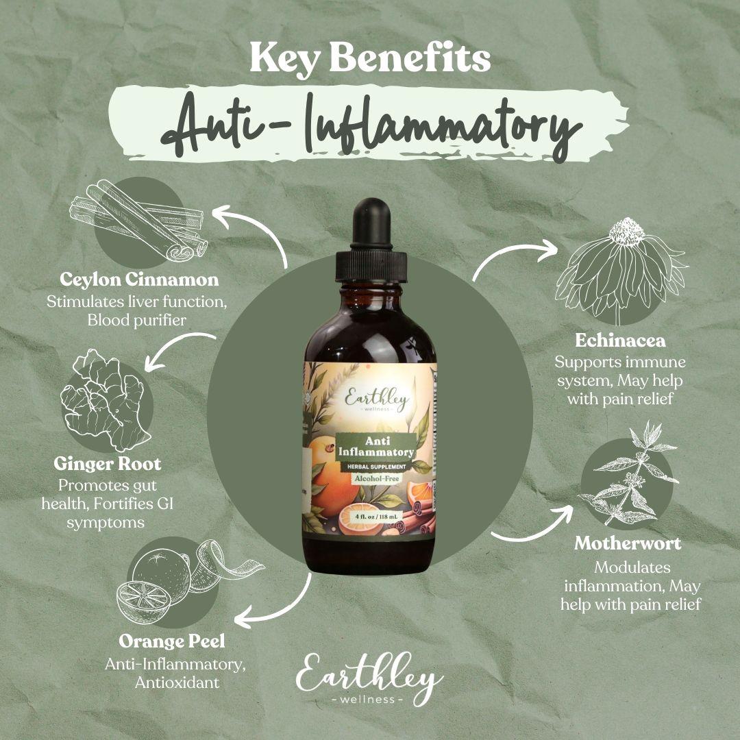 Earthley Anti-Inflammatory tincture bottle surrounded by ingredient illustrations: Ceylon cinnamon, ginger root, orange peel, echinacea, and mother...