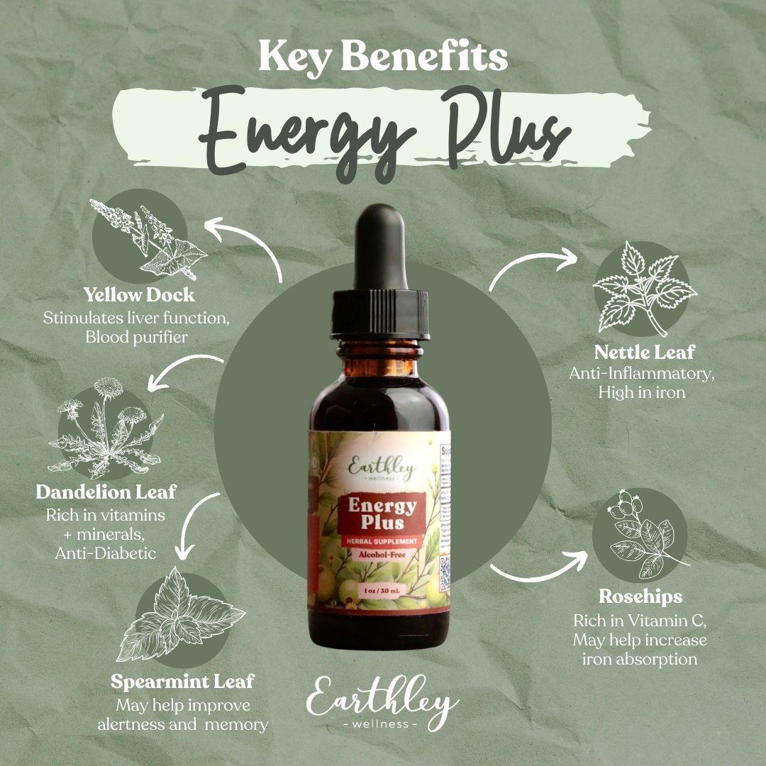 Energy Plus herbal tincture bottle surrounded by ingredient illustrations: yellow dock, nettle leaf, dandelion, spearmint, and rosehips with benefi...