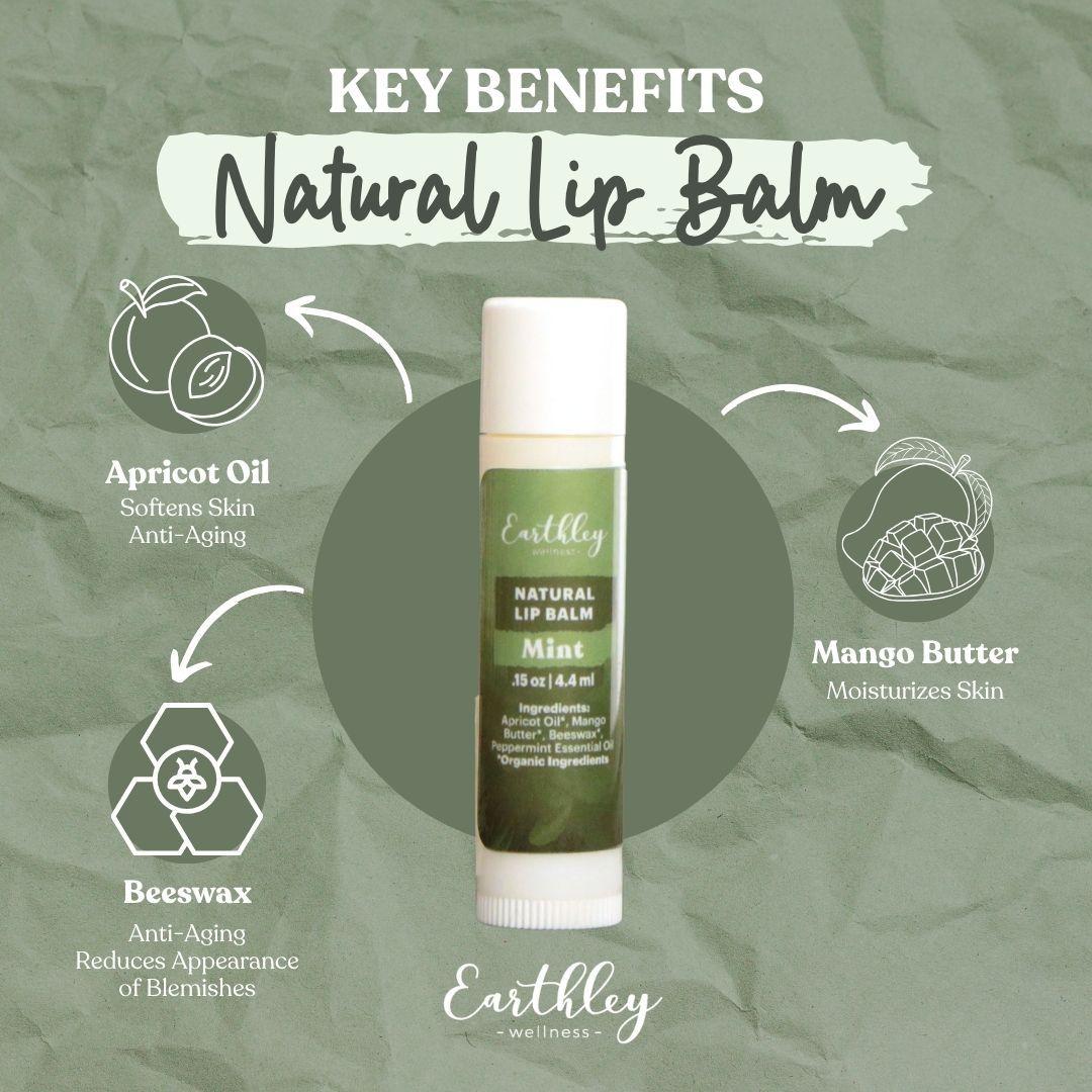 Earthley Natural Lip Balm in mint flavor with key benefits: apricot oil, beeswax, and mango butter for moisturizing