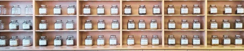 Wooden shelves lined with rows of labeled glass herb jars in an apothecary-style display