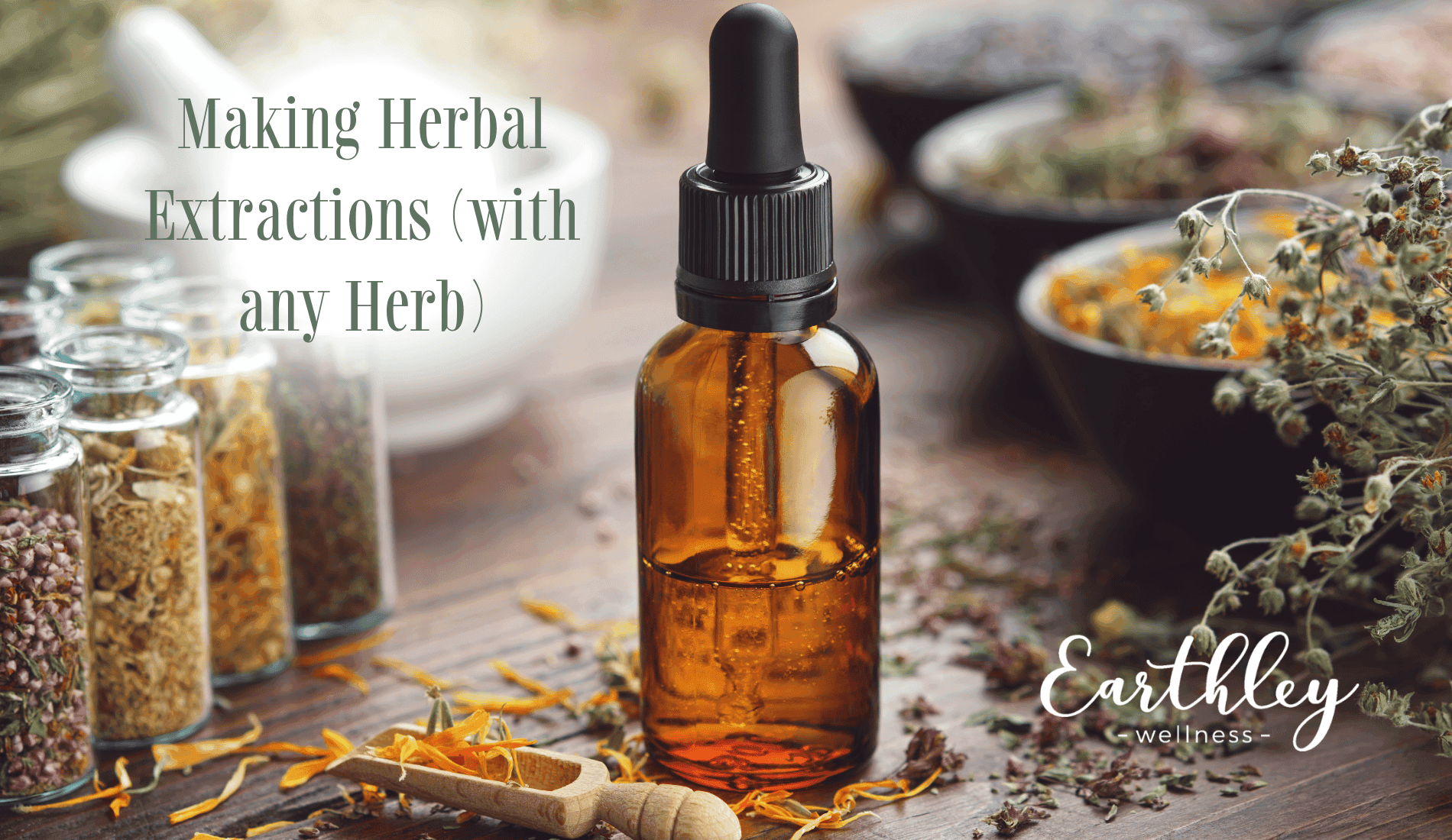 Making Herbal Extractions class header showing amber glass jars with green herbs on wooden surface