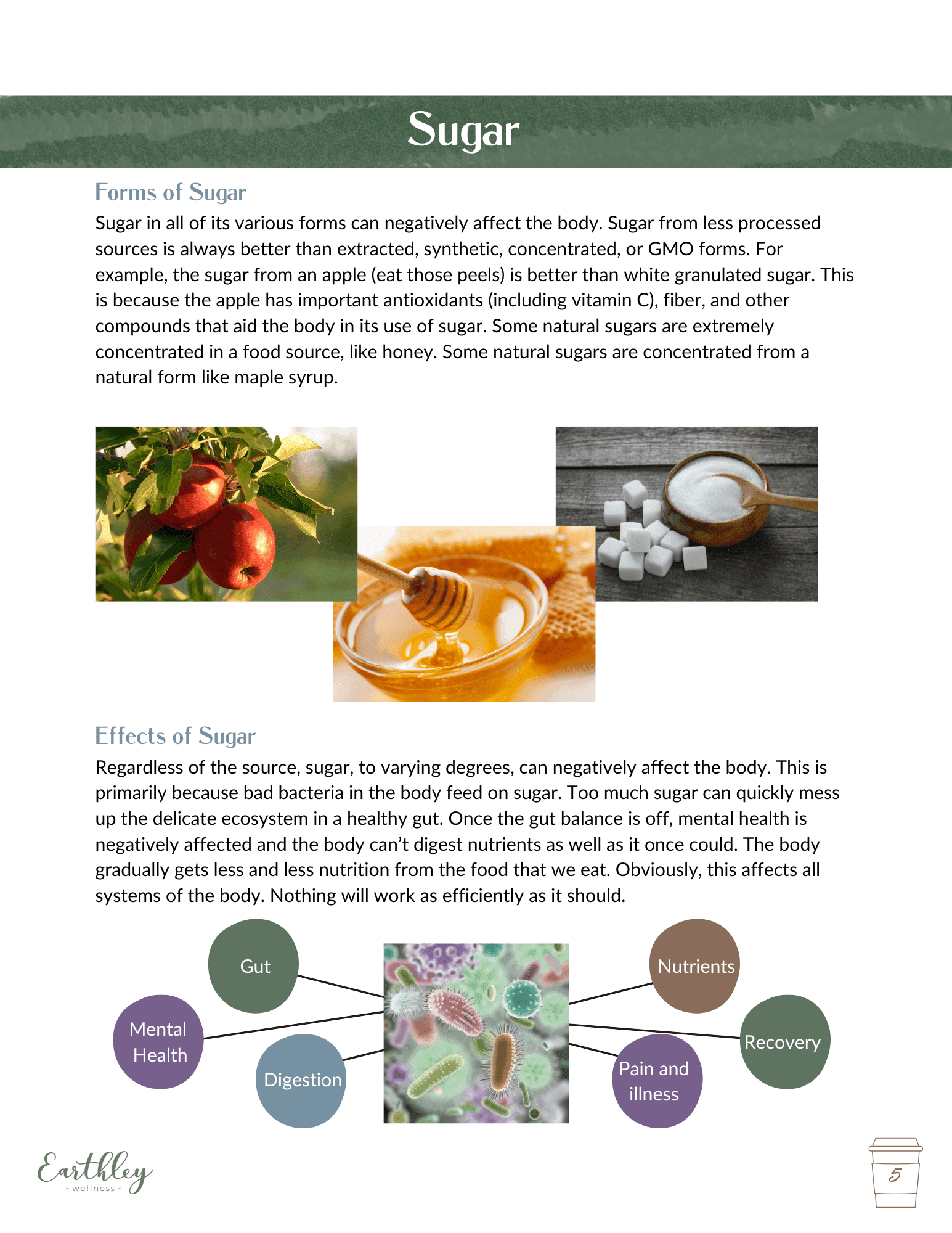 Earthley Morning Metabolism Challenge page 6 about sugar with brown honey jar and green apple on cream background with sage green text