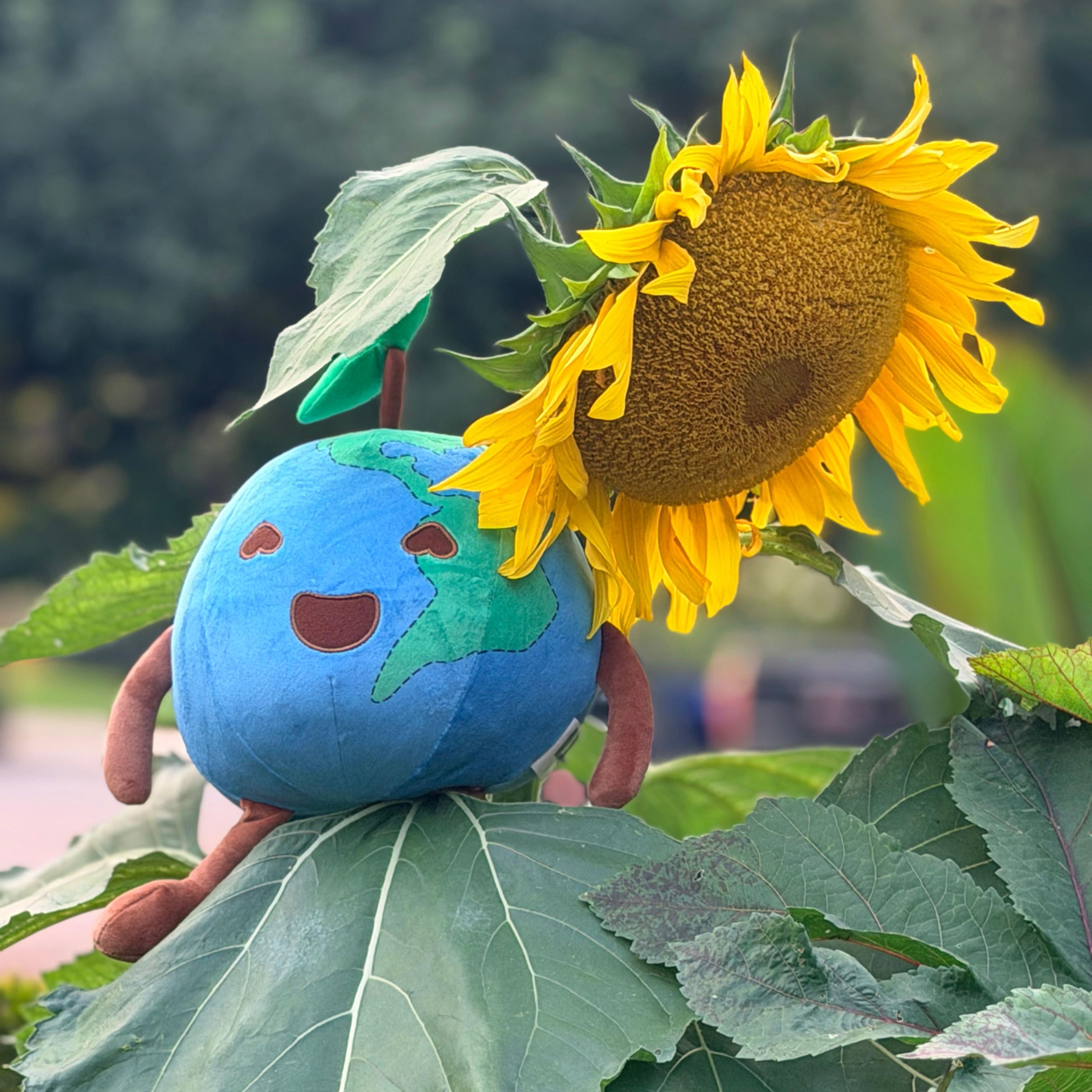 Smiling Earth plush toy nestled among sunflower leaves beside a bright yellow sunflower bloom.