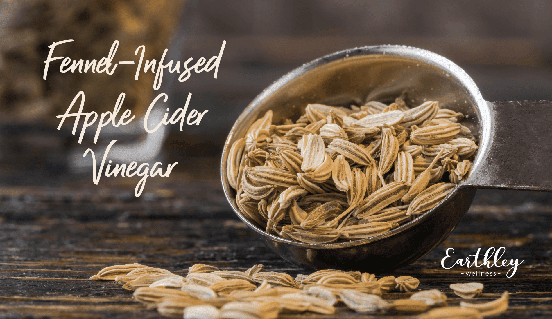 Fennel-Infused Apple Cider Vinegar recipe showing silver metal spoon with tan beige fennel seeds spilling onto dark brown wooden surface