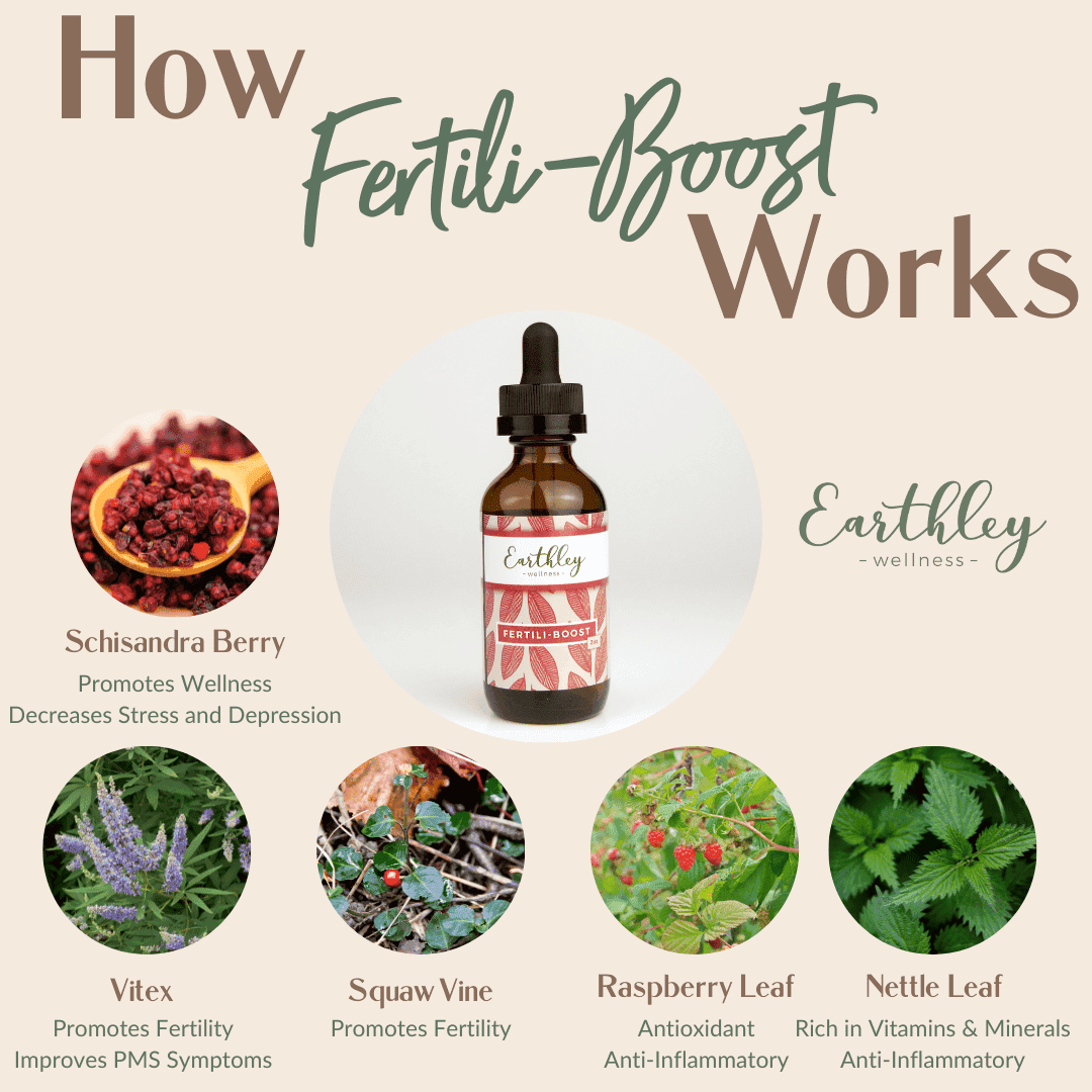 Earthley How Fertili-Boost Works infographic with sage green background showing amber dropper bottle with ingredient photos of green herbs roots and botanical ingredients supporting fertility on circular images