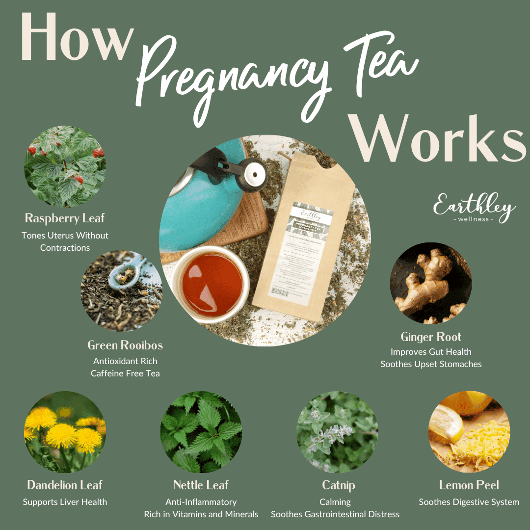 Earthley How Pregnancy Tea Works infographic with sage green background showing tan kraft pouch with ingredient photos of raspberry leaf rooibos ginger dandelion nettle catnip and lemon peel