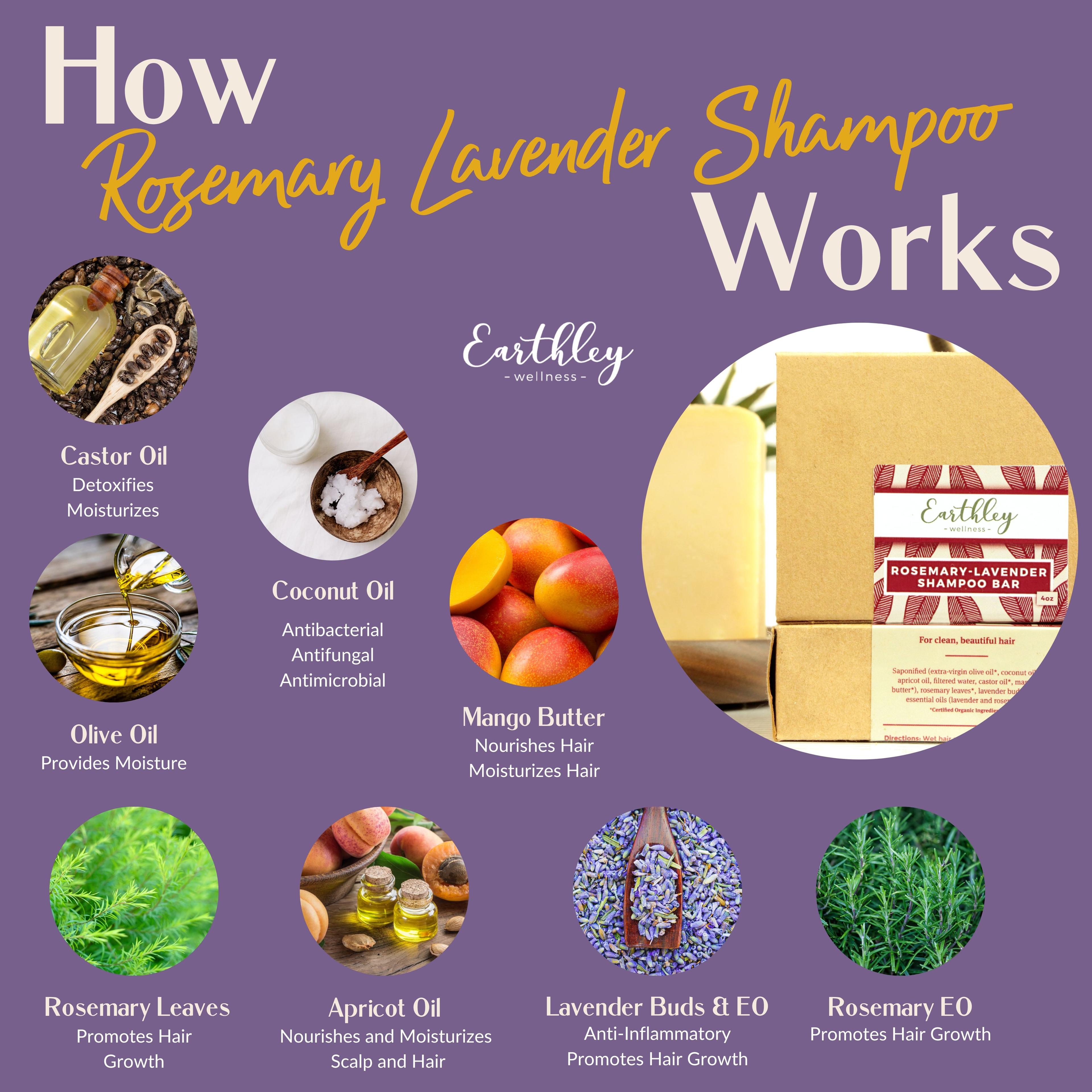 How rosemary lavender shampoo updated Works infographic showing key ingredients and benefits